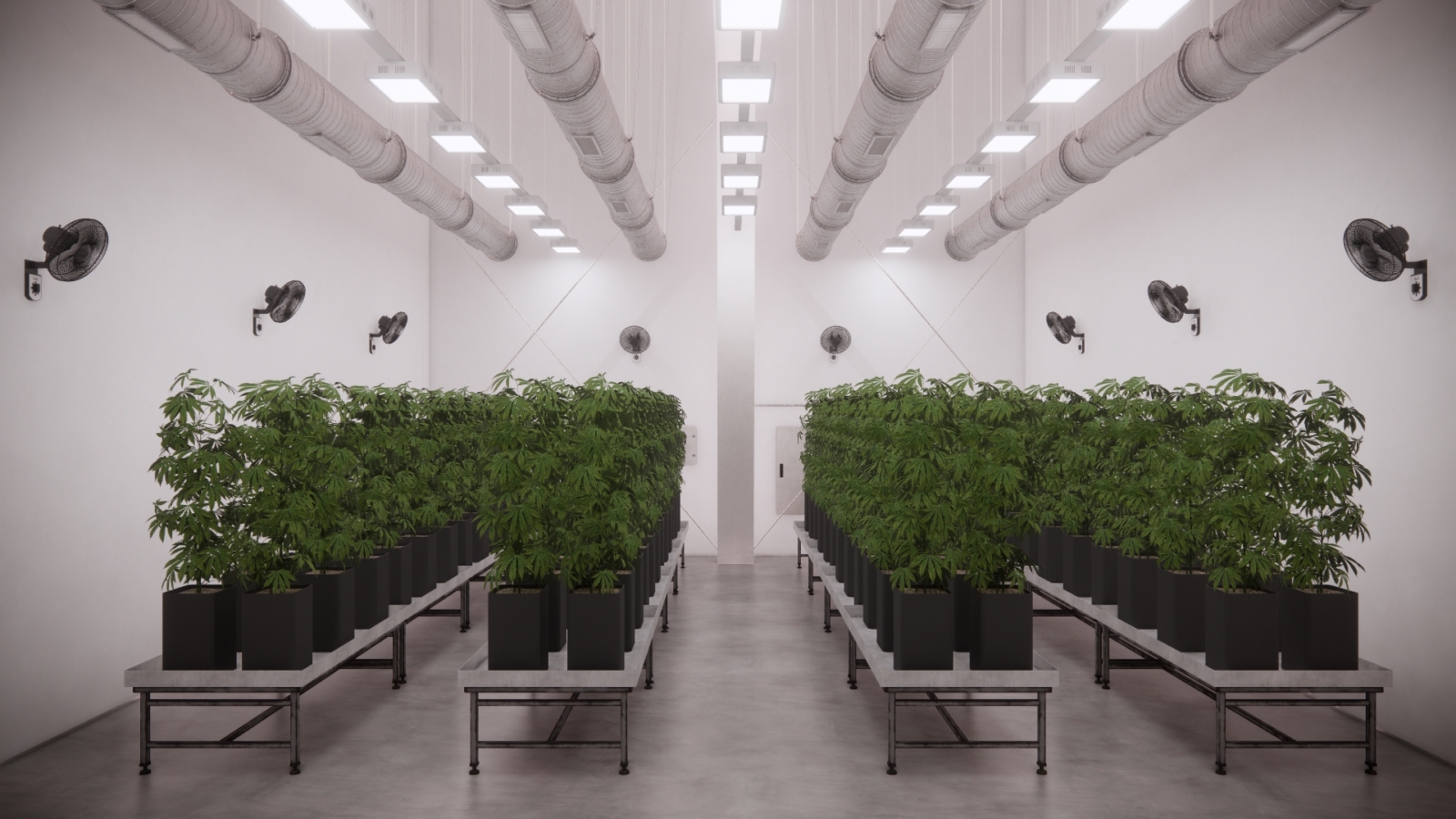 0418_Lowkey Cultivation Facility 07