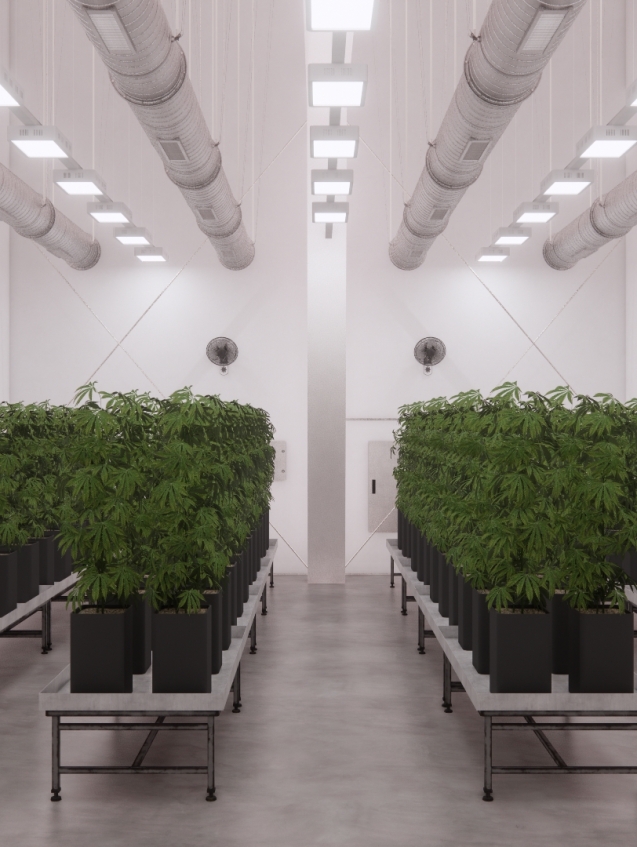 0418_Lowkey Cultivation Facility 07